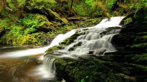 The Tongass | Alaska Conservation Foundation