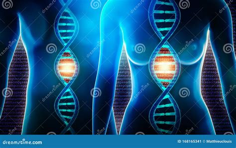 Human DNA Helix Strand Royalty-Free Illustration | CartoonDealer.com ...