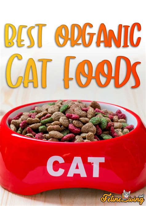 Best Organic Cat Food October 2024: Complete Buyer’s Guide