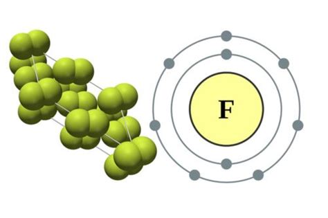 Fluoro - Cure-Naturali.it