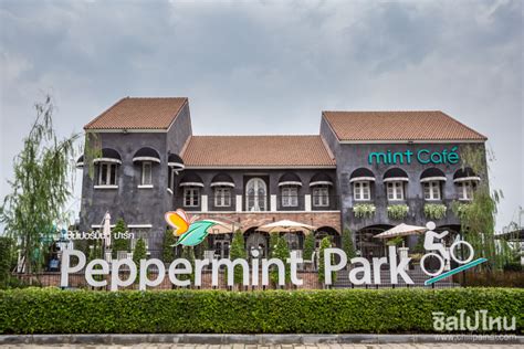 รีวิว Peppermint Bike Park & Mint Cafe คาเฟ่สุดชิค พร้อมสนามปั่นจักรยาน ...