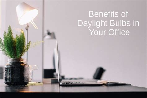 Benefits of Daylight Bulbs on Workplace Health & Productivity - 10 Desks