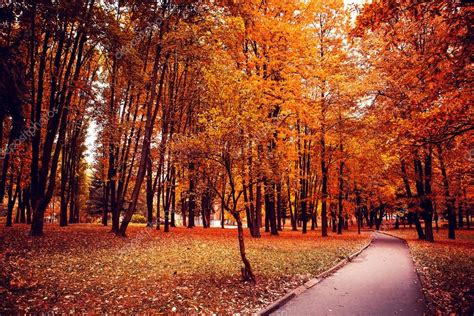 Autumn in park Stock Photo by ©Ivantsov 56698143