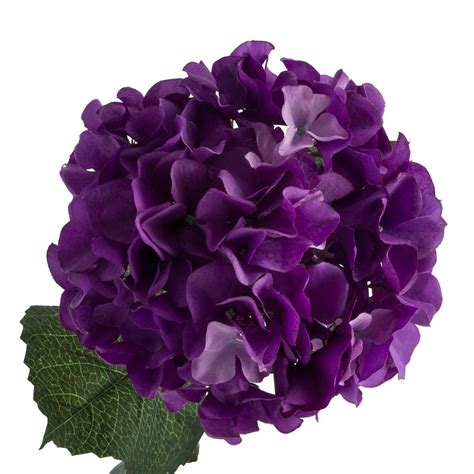 Purple Hydrangeas - DIY