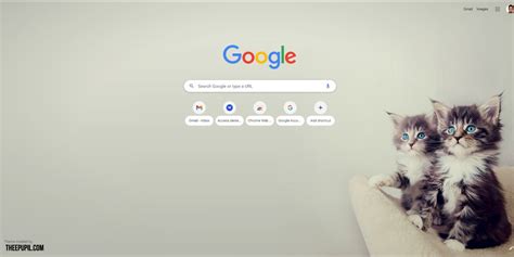 The Best Minimalist Google Chrome Themes