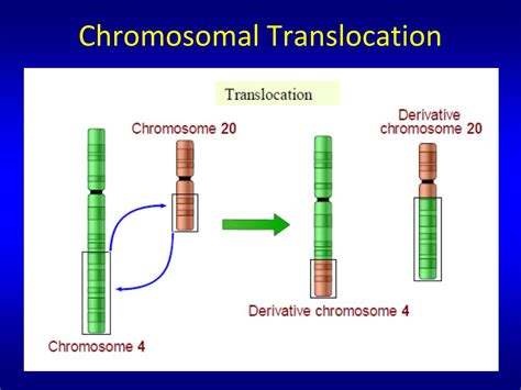 Unbalanced Translocation