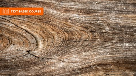 The Biodeterioration of Wood | PE Courses by learnformula