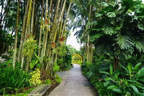 Pasir Ris Park Singapore Map - Playground, BBQ & Carpark