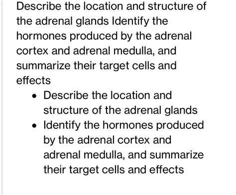 [Solved] Describe the location and structure of the adrenal glands ...