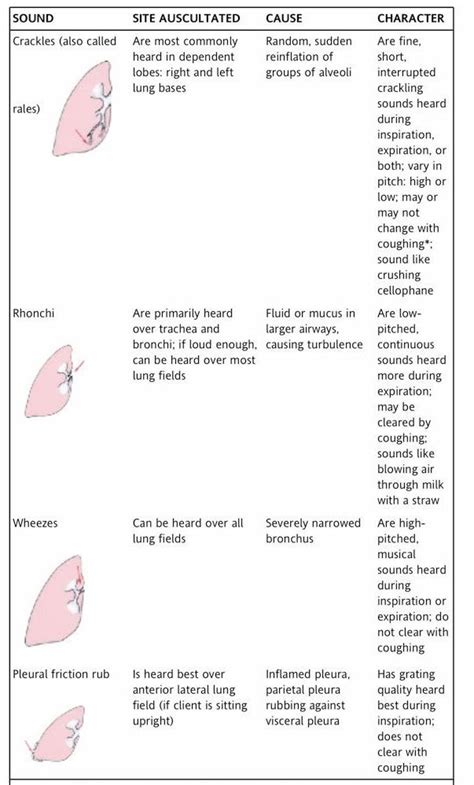 HESI Case Studies | Nursing school survival, Nursing school studying, Medical knowledge