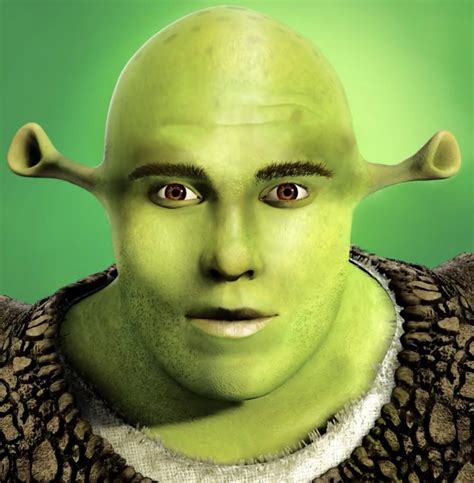 Is Shrek Beautiful? : r/MakeMeSuffer