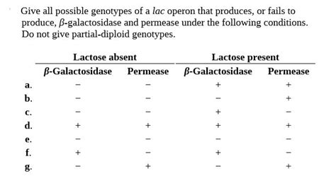 Answered: Give all possible genotypes of a lac… | bartleby