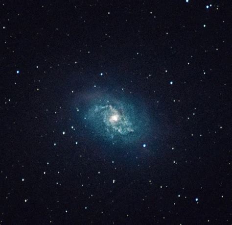 Triangulum galaxy untracked : r/Astronomy