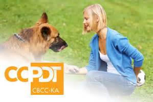 How to become a certified dog behavior consultant - CCPDT