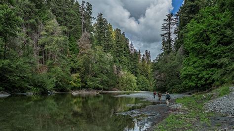 Redwood Creek Dispersed Camping (U.S. National Park Service)