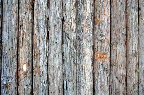 Wood Fence Free Stock Photo - Public Domain Pictures