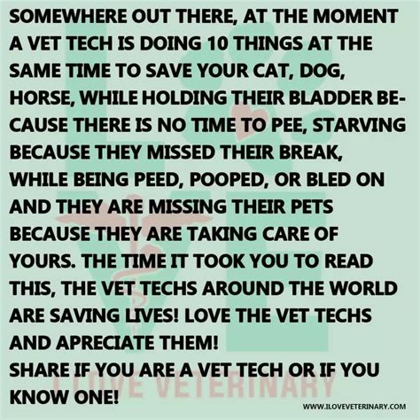 Celebrating Vet Tech Appreciation Week 2024 | I Love Veterinary