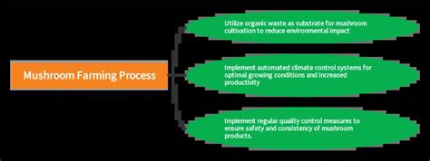 Mushroom Farming in Australia: A Comprehensive Guide-2023