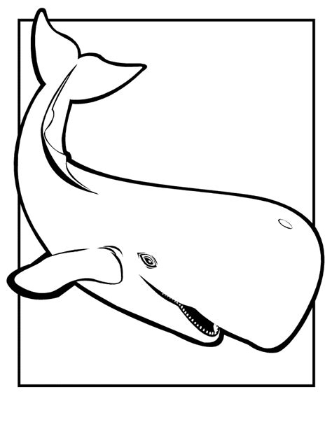 Printable Whale Coloring Pages