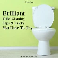 Brilliant Toilet Cleaning Tips and Tricks - A Mess Free Life