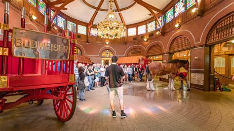 Anheuser Busch Brewery St Louis Missouri | Fasci Garden