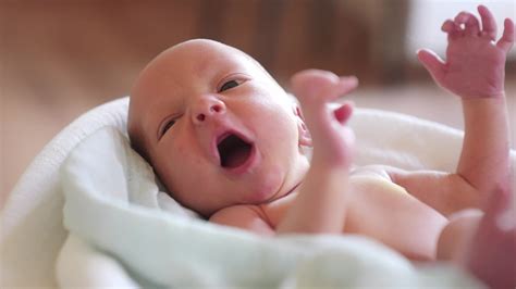 Moro Reflex in Babies: What It Is and How Long It Lasts – Happiest Baby