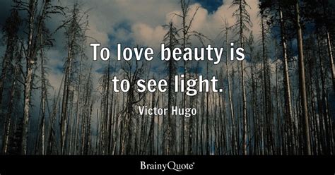 To love beauty is to see light. - Victor Hugo - BrainyQuote