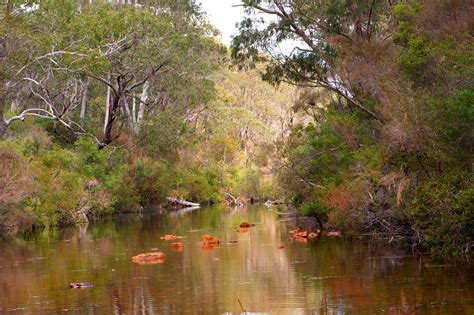 Endrick river NSW | Budawangs | Joe McAuliffe | Flickr