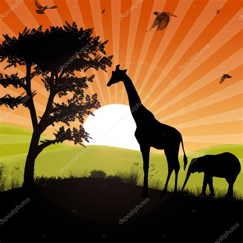 African safari sunset — Stock Photo © dcwcreations #4772250