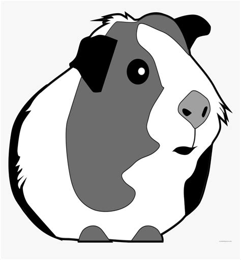 Guinea Pig Clipart - Guinea Pig Clipart Black And White, HD Png ...