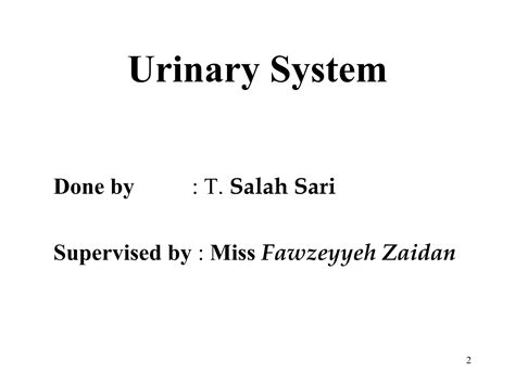 Urinary system | PPT | Free Download