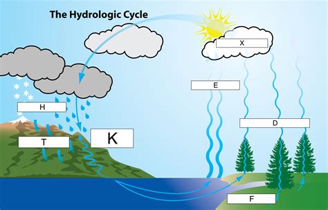 31 Label Water Cycle - Labels Design Ideas 2020