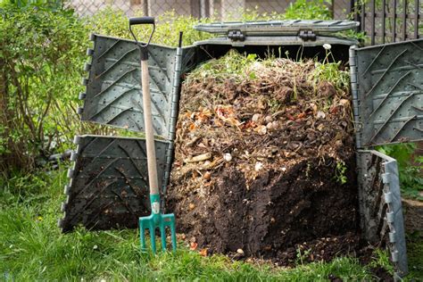 Compost Vs. Fertilizer: Uses and Applications | Surrey