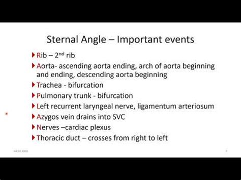 STERNAL ANGLE - ANATOMY - YouTube