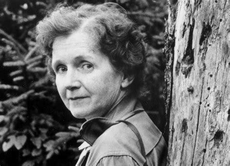 Rachel Carson Biography - Childhood, Life Achievements & Timeline