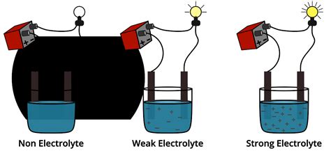 Strong vs. Weak Electrolytes: How to Categorize the Electrolytes? PSIBERG