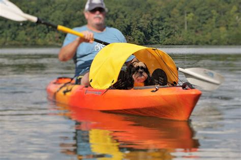 Dog paddling sun shade for kayaks, canoes and SUPs (yellow) | Kayak ...