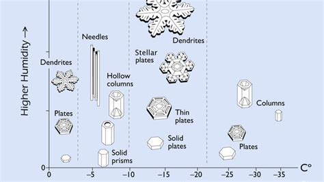 The snow in Salt Lake City today looks like Dippin’ Dots : r ...