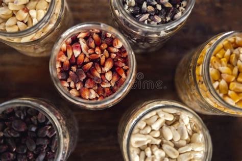 High Angle View of Different Types of Corn Kernels in Jars on a Wooden Table Under the Lights ...