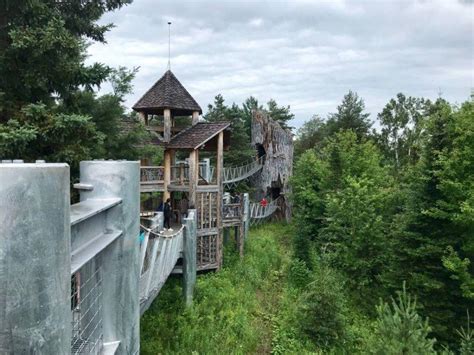 How to Plan The Perfect Visit to the Wild Center in Tupper Lake, NY - Jen on a Jet Plane