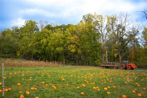 Hayride through a pumpkin patch in the countryside Stock Photo | Adobe ...