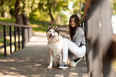 Husky and Girl Owner in the Park. Dog Training Stock Image - Image of ...