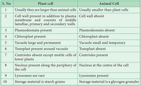 Difference between plant and animal cells