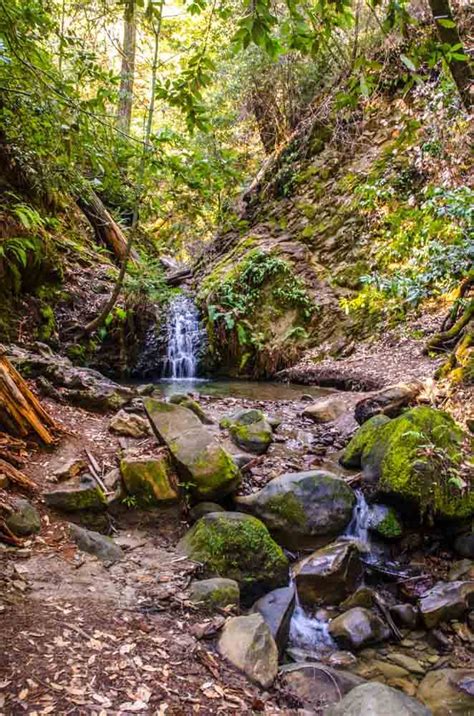 Portola Redwoods State Park - Sempervirens Fund