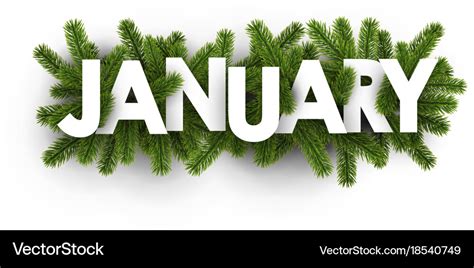 January banner with fir branches Royalty Free Vector Image