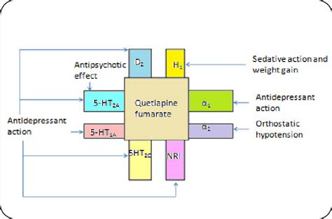 Mechanism of action of Quetiapine fumarate. | Download Scientific Diagram