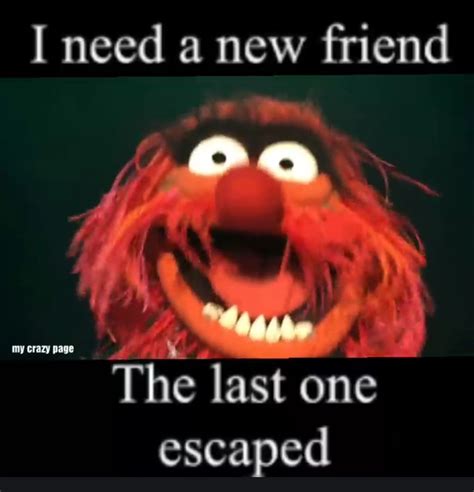 "I need a new friend. The Last one escaped." ~ Animal | Muppets funny, Muppets quotes, Funny jokes