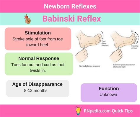 Newborn Reflexes - RNpedia