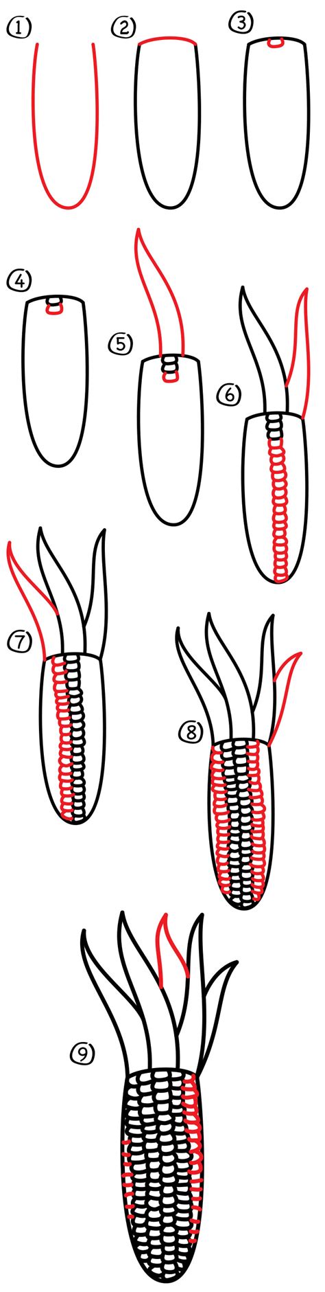 How To Draw Indian Corn (Flint Corn) - Art For Kids Hub