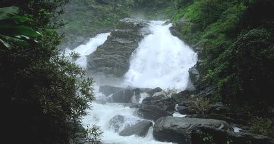 Waterfalls in Wayanad, List of waterfalls, Meenmutty,Soochipara ...